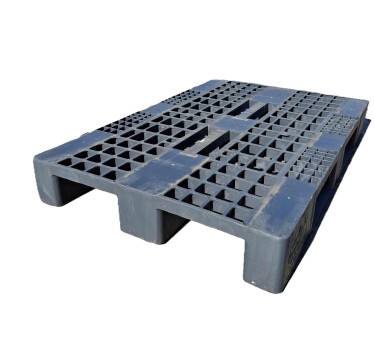 copy of 800×1200 Logypal