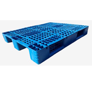 copy of 800×1200 Logypal