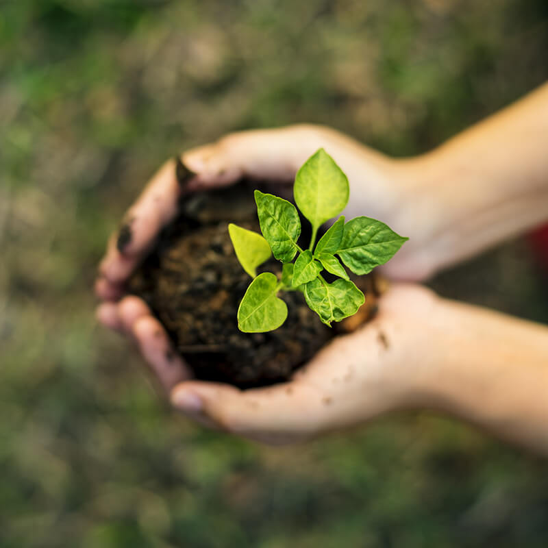 I NOSTRI ATTESTATI DI TRASPARENZA